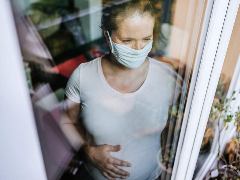 Paxlovid Safe para personas embarazadas, dice el estudio