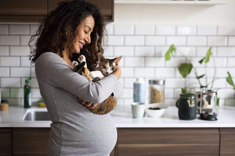 Schwangerschaft und Katzenstreu alles, was Sie wissen müssen