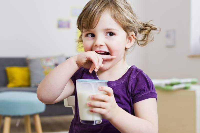 Exigences du lait pour les tout-petits et du calcium