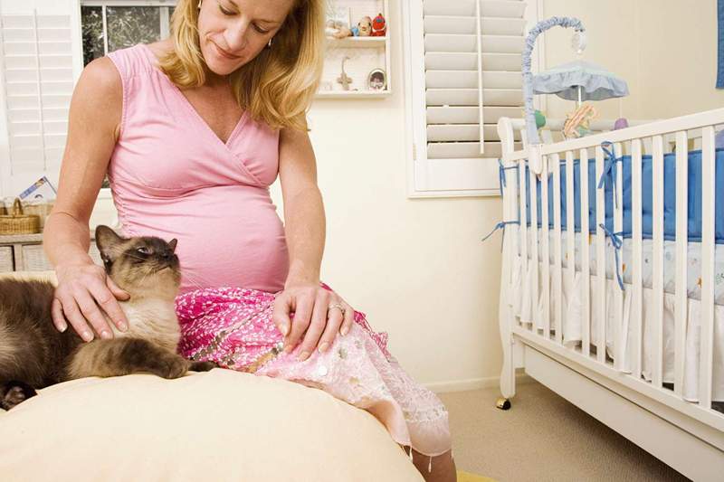 Animali domestici e gravidanza