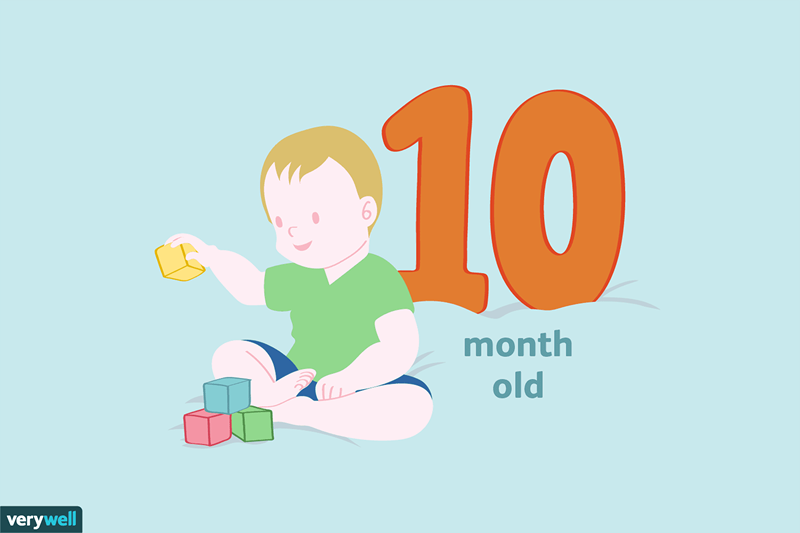 El desarrollo y los hitos de su bebé de 10 meses