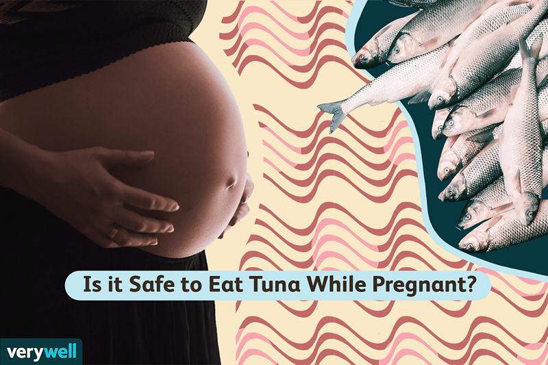 Posso mangiare tonno durante la gravidanza?