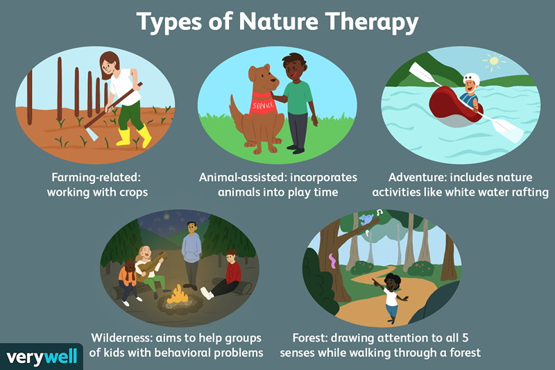 Comment la thérapie par la nature aide votre santé mentale