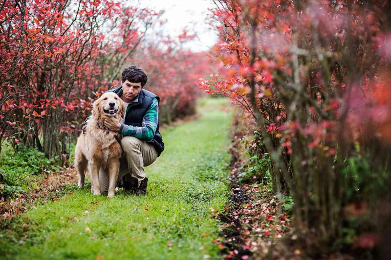Come i cani terapeutici possono migliorare la salute mentale e fisica