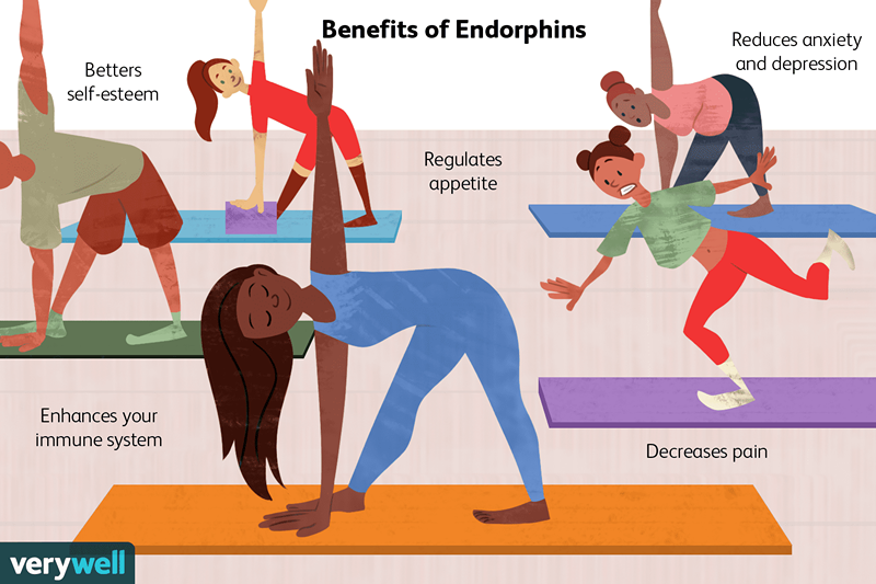 Cosa sono le endorfine?